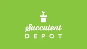 Save Money WithSucculent Depot 6% And Free Return On Ebay!