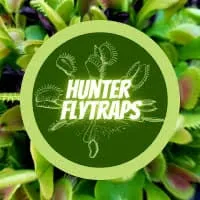 Hunter Flytraps Goods Starting At $1