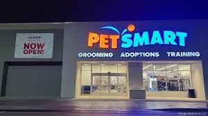 20% Discount All Pet Grooming Services