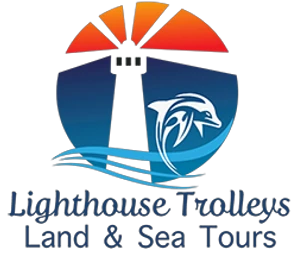 Enjoy Dolphin Tours From RS500000