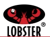 lobstersports.com