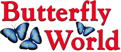 Butterfly World Promotion