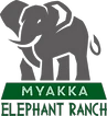 Myakka Elephant Ranch Products Starting At $199.00