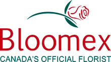 BloomEx Promotion