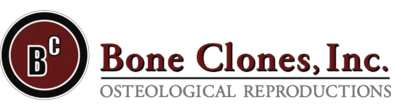 Bone Clones Inc Promotion