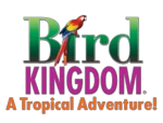 Lorikeet Feeding Starting At $5 At Bird Kingdom