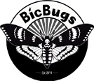 bicbugs.com