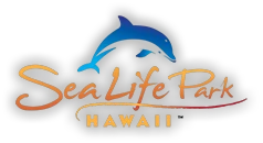 Sea Life Park Hawaii Promotion