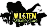 Enjoy 15% On Wildlife And Dino Safari At Wilstem