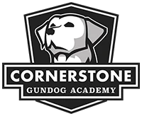 Cornerstone Gundog Academy Promotion