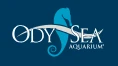 Snag A Fantastic 20% Discount At OdySea Aquarium