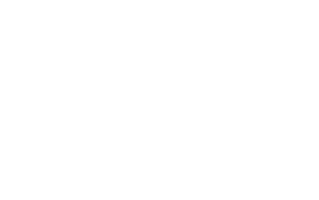 EV Chargers Promotion