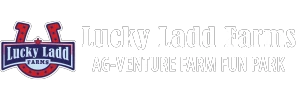 Score Up To 65% On Tennessee Butterfly Experience At Lucky Ladd Farms