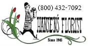 Always On Hansen's Florist Mind Starting At $79.99