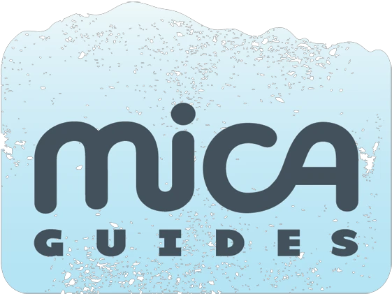 Ice Fall Trek Just Low To $45 | Mica Guides