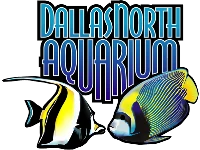 Dallas North Aquarium Promotion