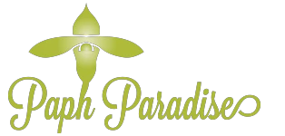 paphparadise.com