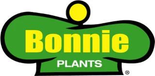 Sweet Mint 3-pack Plugs Just From $10.49 At Bonnie Plant