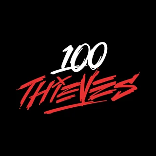 100 Thieves Promotion