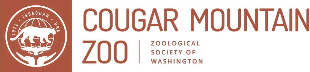 Zoo Internships Starting At $200 | Cougar Mountain Zoo