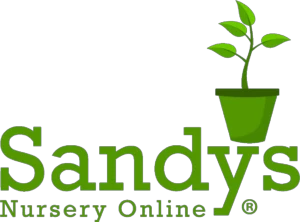 Enjoy Big Sale For Orders At Sandys Nursery