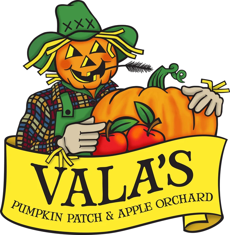 Discover Amazing Deals When You Place Your Order At Valaspumpkinpatch.com