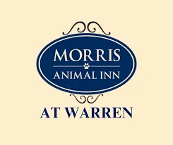 Decrease 20% At Morris Animal Inn