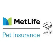 Secure Your Pet's Health With MetLife, Your Forever Protection Partner