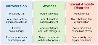 Shyness And Social Anxiety Coupon Code – Grab An Additional 30% Discount