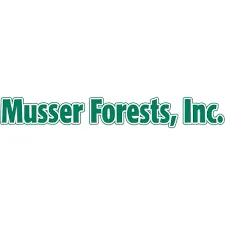 Wonderful Musser Forest Items Start At Just $10