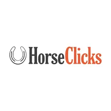 Horses For Sale Just From $1 At Horseclicks