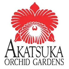 Other Orchids For Only $27.5 At Akatsuka Orchid