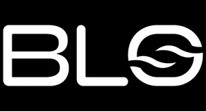 Today Only! Up To 18% Discount Plus Free Shipping Your Blo Car Dryer Order On Ebay