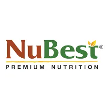 NuBest Promotion