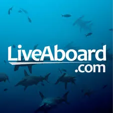 Liveaboard Promotion