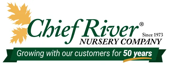 Place Your Order At Chief River Nursery And Get Access To Exclusive Extra Offers