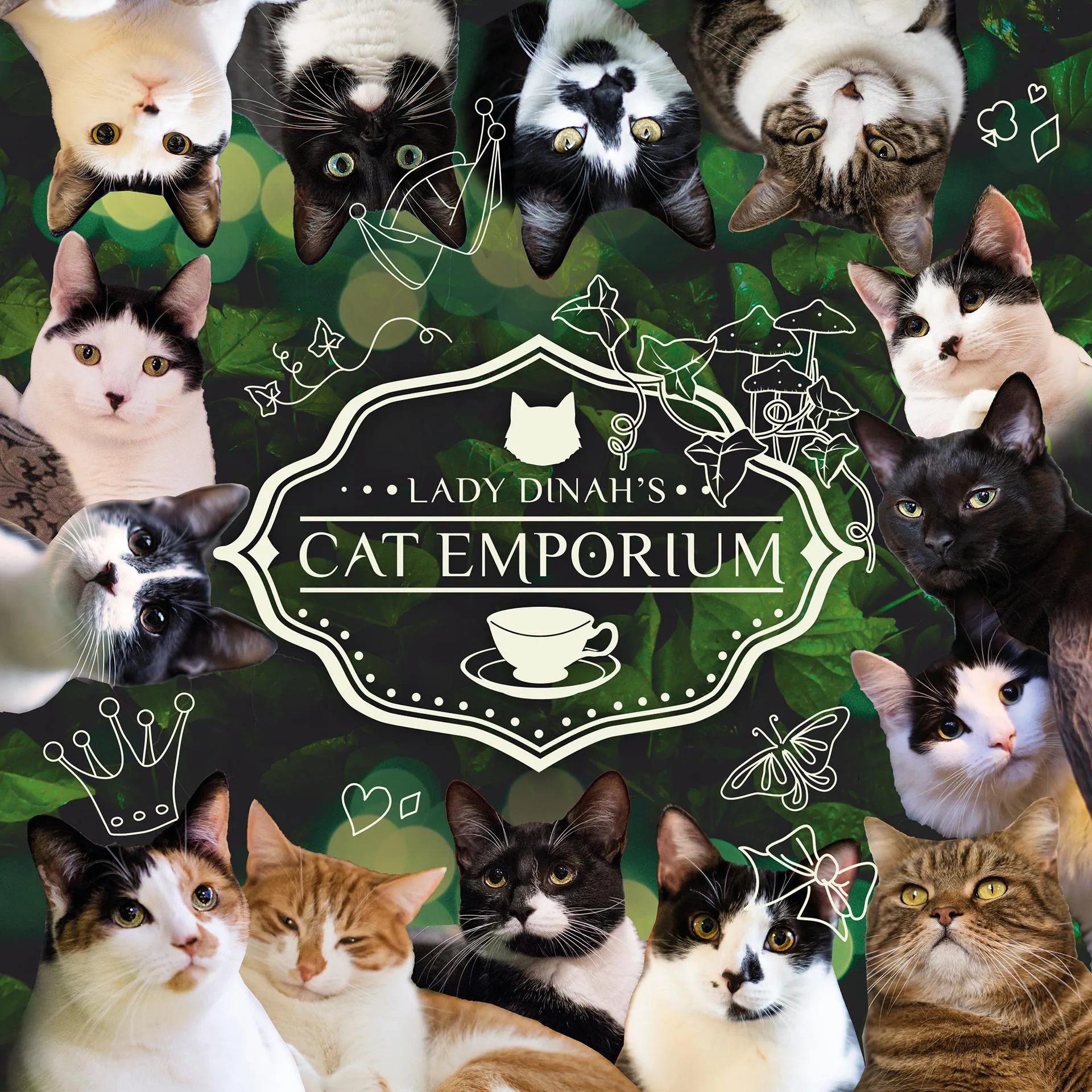 Lady Dinah's Cat Emporium Promotion