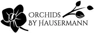 Cut Up To 30% All Orchids By Hausermann Discounted Products