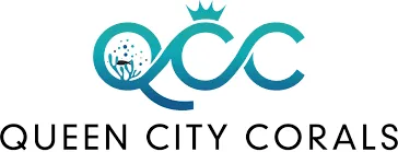 Up To 20% Discount At Queencitycorals.com With Coupon Code