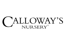 Calloway’s Specials - Save Up To 25%