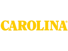 Unlock 10% Off With Carolina Promo Code