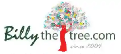 BillyTheTree Promotion