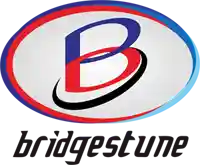 Special Bridgestone Items For $14.85