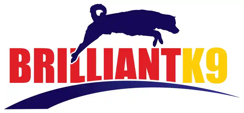 Brilliantk9 Promotion