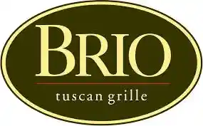 BRIO Promotion