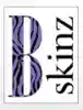 bskinz.com