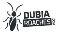 Dubia Roaches Promotion