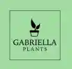 Enjoy Extra 20% Reduction On All Your Orders With Code At Gabriella Plants