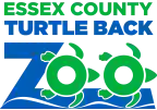 turtlebackzoo.com