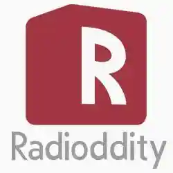 Save Up To 80% On Select Products At Radioddity.com